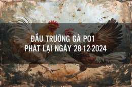 giao diện app trực tiếp đá gà po1