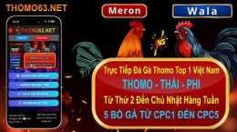giao diện app trực tiếp đá gà thomo chấm com