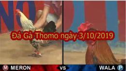 giao diện app trực tiếp đá gà thomo ngày 10 tháng 10