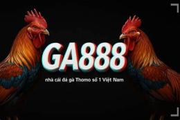 giao diện app trực tiếp đá gà thomo tân hôn
