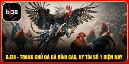 giao diện app trực tiếp gà đá thôm