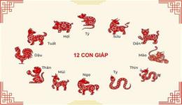 giao diện app xem 12 con giáp đá gà