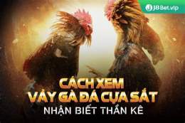 giao diện app xem vảy gà nòi đá cựa sắt