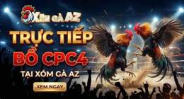 giao diện app xóm gà az đã trực tiếp