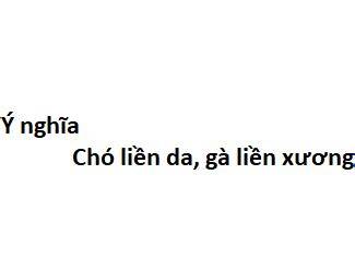 giao diện app ý nghĩa câu chó liền da gà liền xương