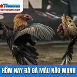 hom nay ga nao da an