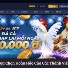 hướng dẫn đá gà online