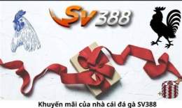 hướng dẫn sử dụng 2bong da ga sv388