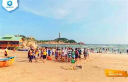 hướng dẫn sử dụng bãi đá vàng mũi kê gà