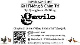 hướng dẫn sử dụng bán gà h