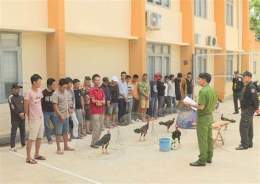 hướng dẫn sử dụng bắt trường gà ở đa phước