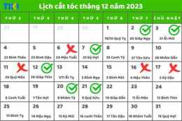 hướng dẫn sử dụng bí kíp màu mạng xem ngày tốt để đi đá gà