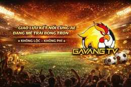 hướng dẫn sử dụng bình luận bóng đá gà siêu phệ