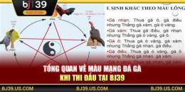 hướng dẫn sử dụng bj39 trang đá gà thomo