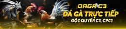 hướng dẫn sử dụng c3 hôm qua đá gà