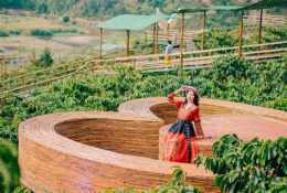 hướng dẫn sử dụng cà phê ga đà lạt