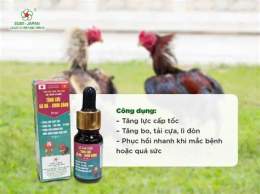 hướng dẫn sử dụng cách trồng cựa gà nòi đá