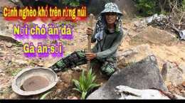 hướng dẫn sử dụng chó ăn đá gà ăn sỏi có nghĩa là gì