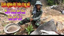 hướng dẫn sử dụng chó ăn đá gà ăn sỏi là ở đâu