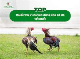 hướng dẫn sử dụng cho tot ga da quan binh tan