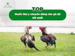 hướng dẫn sử dụng cho tot ga da toan