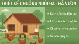 hướng dẫn sử dụng chuong nuoi ga da