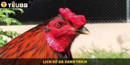 hướng dẫn sử dụng clip da ga xanh trich