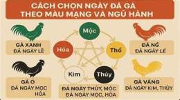 hướng dẫn sử dụng coi mang ga da theo ngay