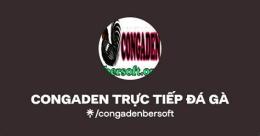 hướng dẫn sử dụng congaden trực tiếp đá gà