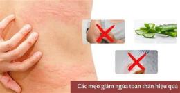 hướng dẫn sử dụng da bi noi hot nhu da ga va ngua