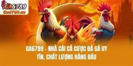 hướng dẫn sử dụng đá gà 6789 uy châu á