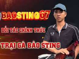 hướng dẫn sử dụng dá gà bảo sting