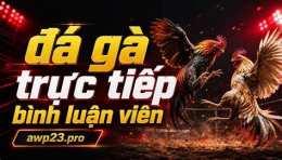 hướng dẫn sử dụng đa ga binh luận viên