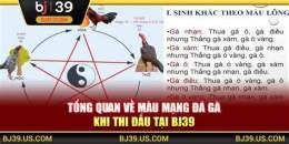 hướng dẫn sử dụng đá gà bj39