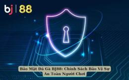 hướng dẫn sử dụng da ga bj88 com