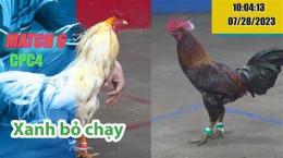 hướng dẫn sử dụng đá gà c2 trận 34