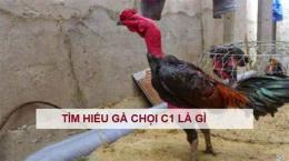 hướng dẫn sử dụng da ga choi c1 thai binh