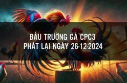 hướng dẫn sử dụng đá gà cpc3 ngày 26 10