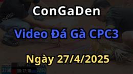 hướng dẫn sử dụng đá gà cpc3 ngày 27 5