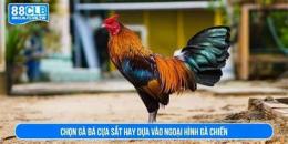 hướng dẫn sử dụng da ga cua sat hay nhat 2016