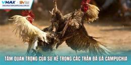 hướng dẫn sử dụng đá gà dagatructiepcampuchia