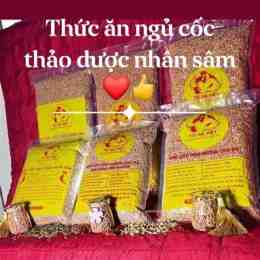 hướng dẫn sử dụng đá gà đồng tháp