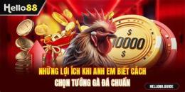 hướng dẫn sử dụng đá gà hello88