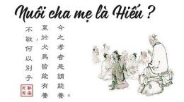 hướng dẫn sử dụng da ga mei