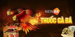 hướng dẫn sử dụng đá gà new88 1new88.com