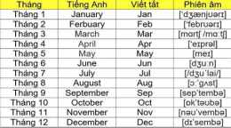 hướng dẫn sử dụng đá gà ngày 25 tháng 2 năm 2023