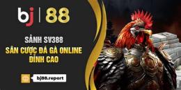 hướng dẫn sử dụng đá gà online 88