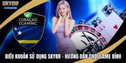 hướng dẫn sử dụng đá gà sky88