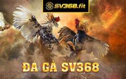hướng dẫn sử dụng đá gà sv368.info