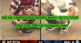 hướng dẫn sử dụng đá gà thomo 11 tháng 10